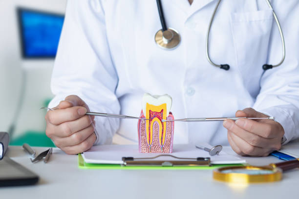 Best Emergency Dental Surgery in Richland, MO